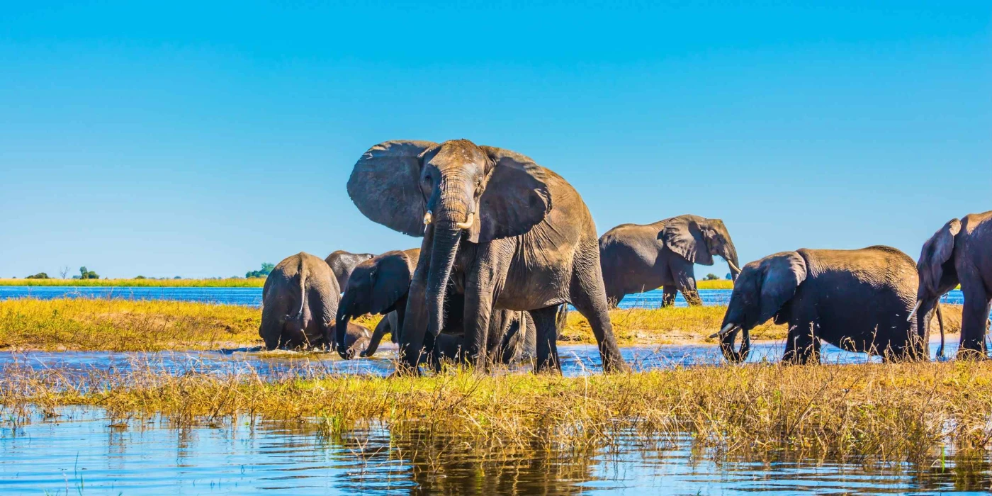 Okavango delta