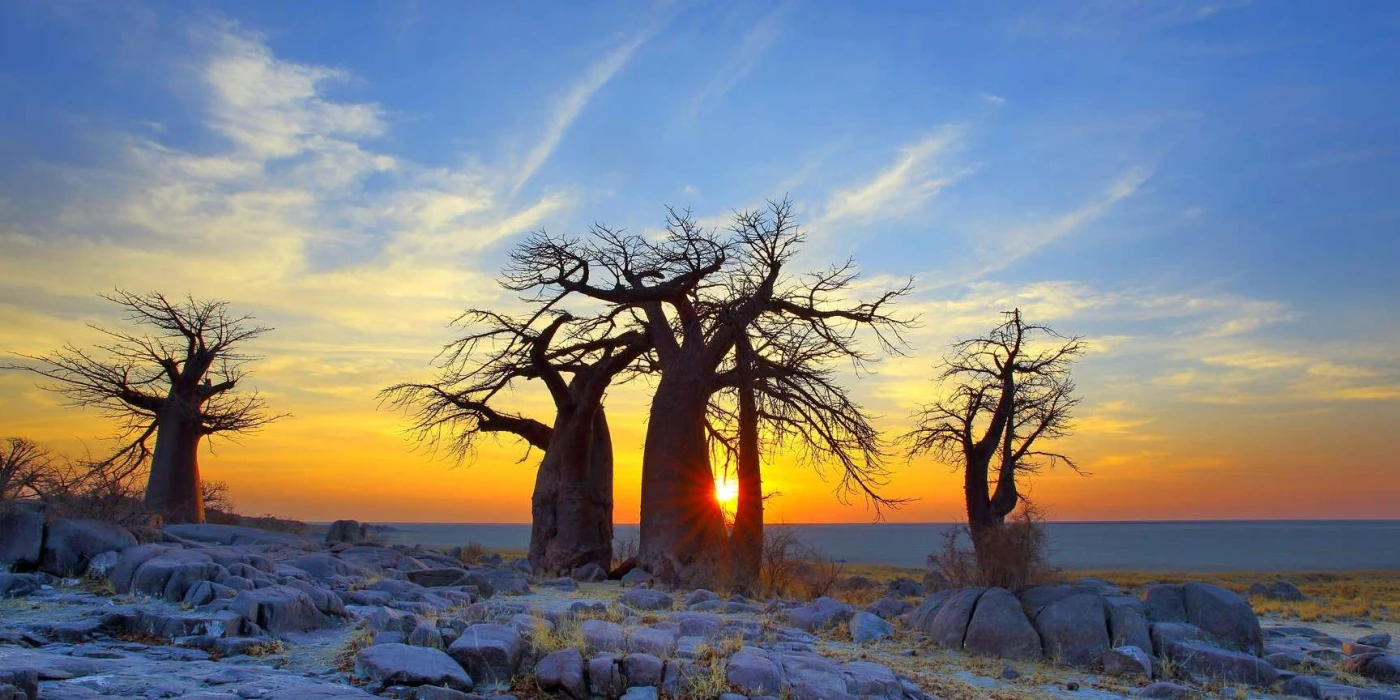 Makgadikgadi pans national park