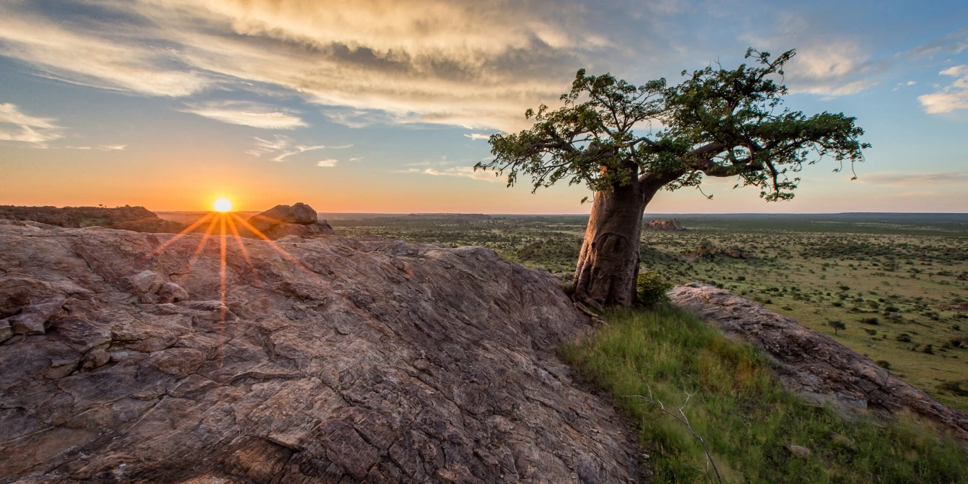 Northern tuli game reserve