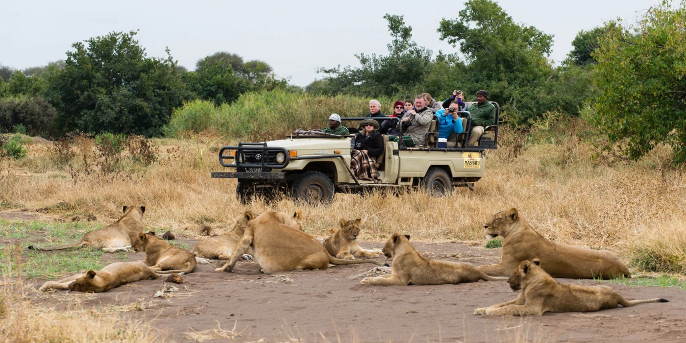 Mashatu game reserve