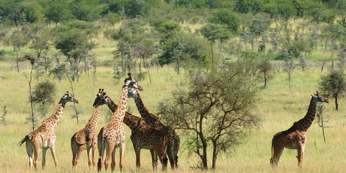 Chyulu hills national park