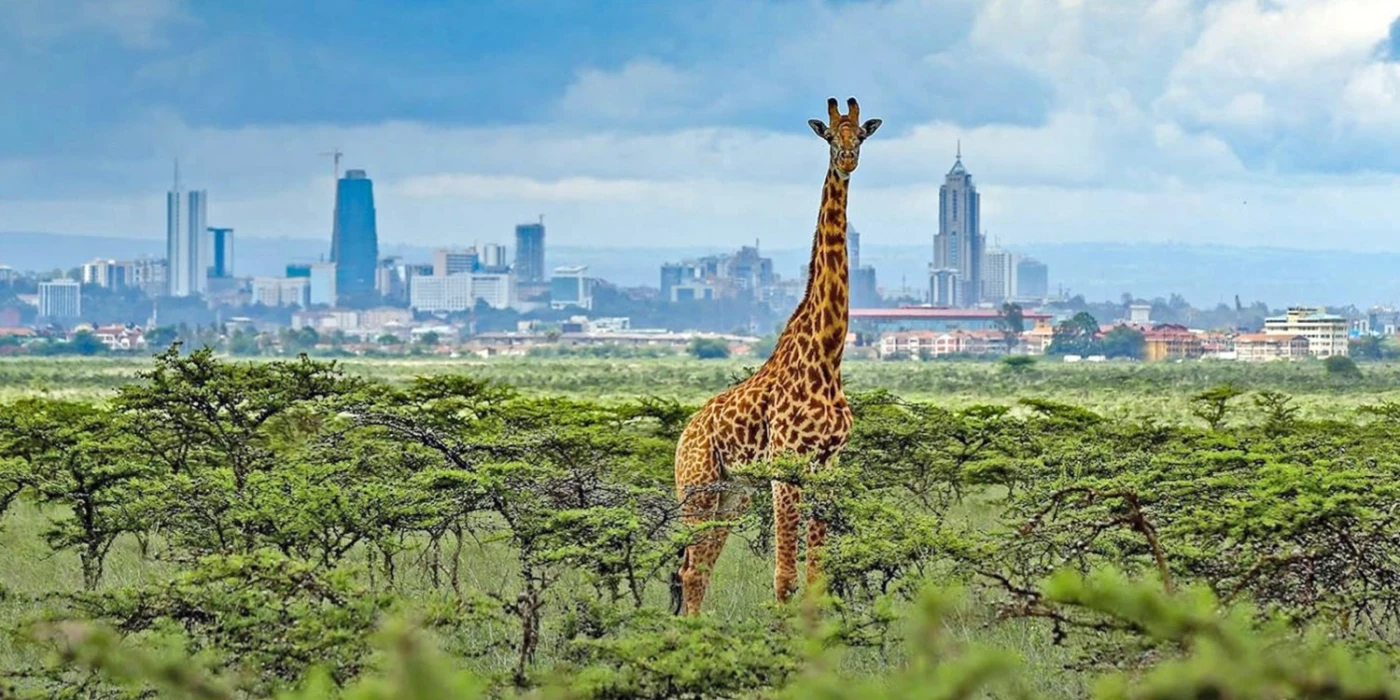 Nairobi national park