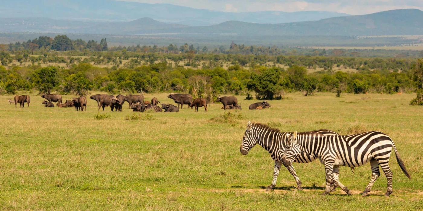 Ol pejeta conservancy