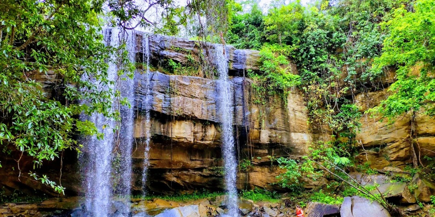 Shimba hills national reserve