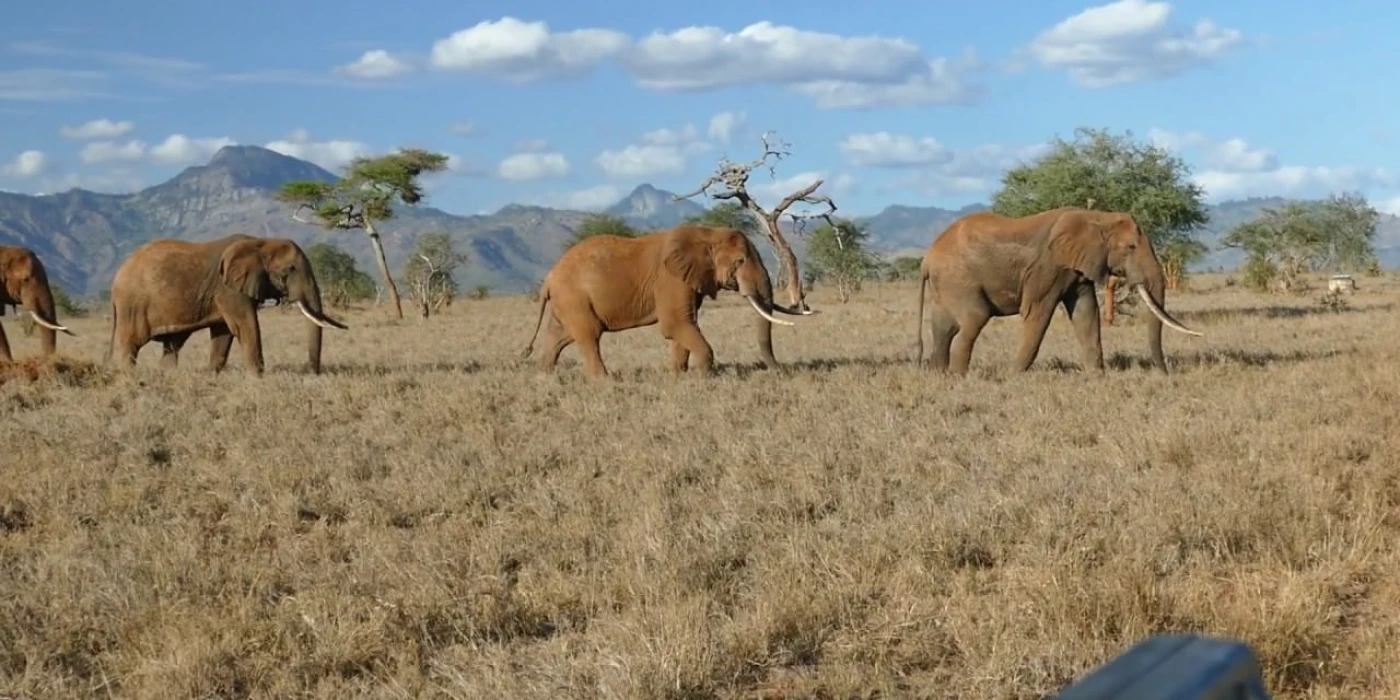 Taita hills wildlife sanctuary