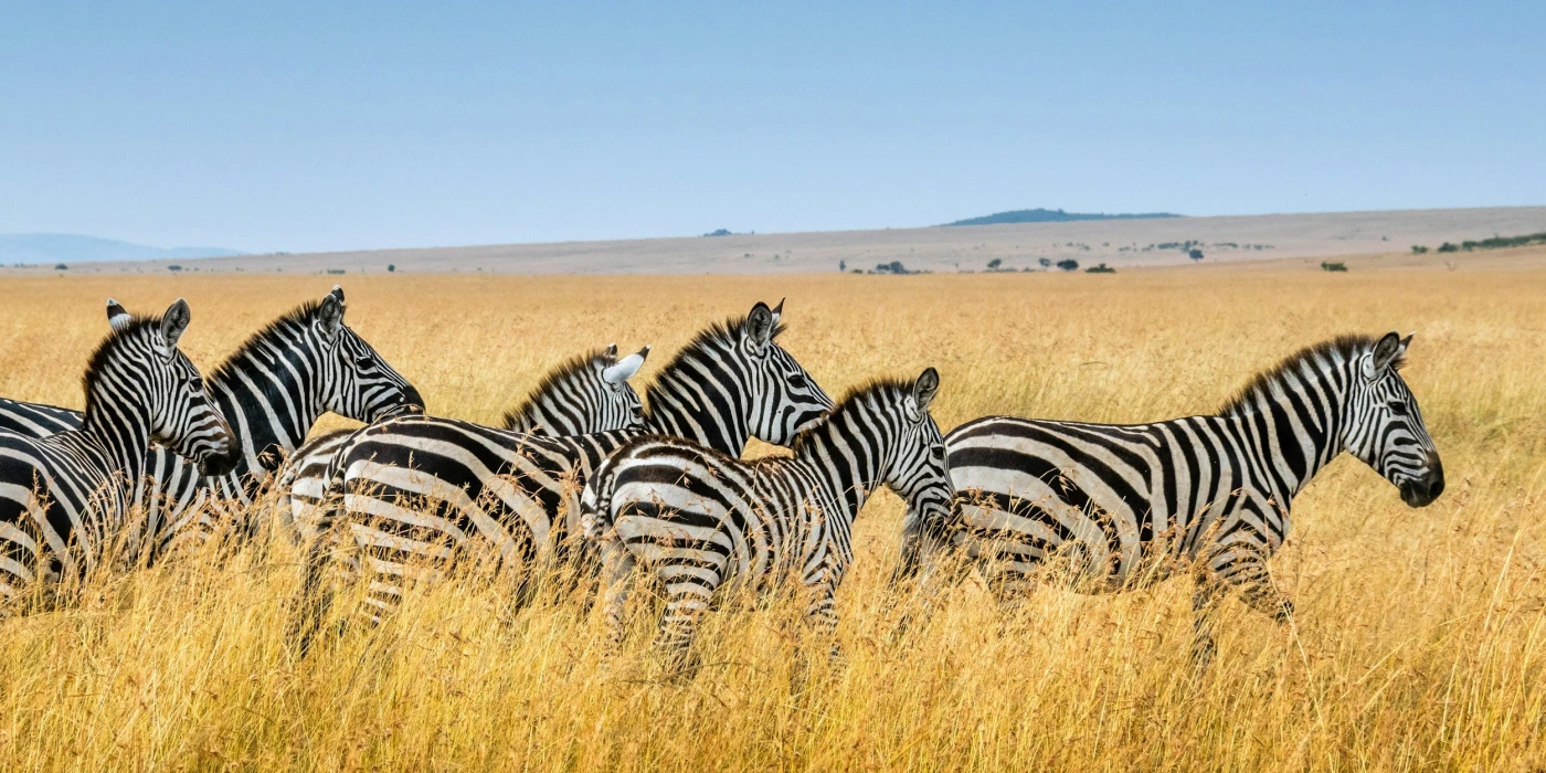 Kidepo valley national park