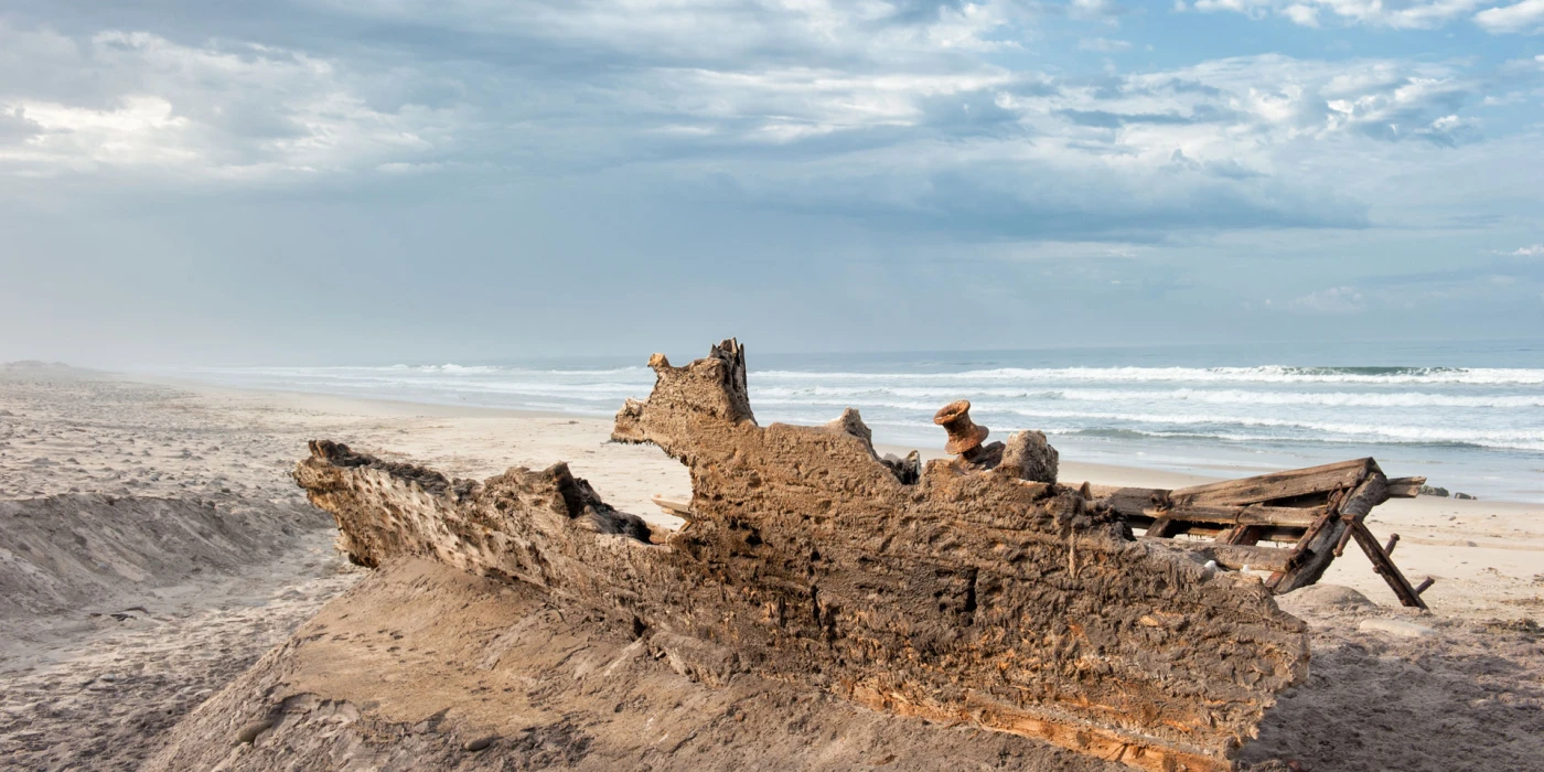 Skeleton coast