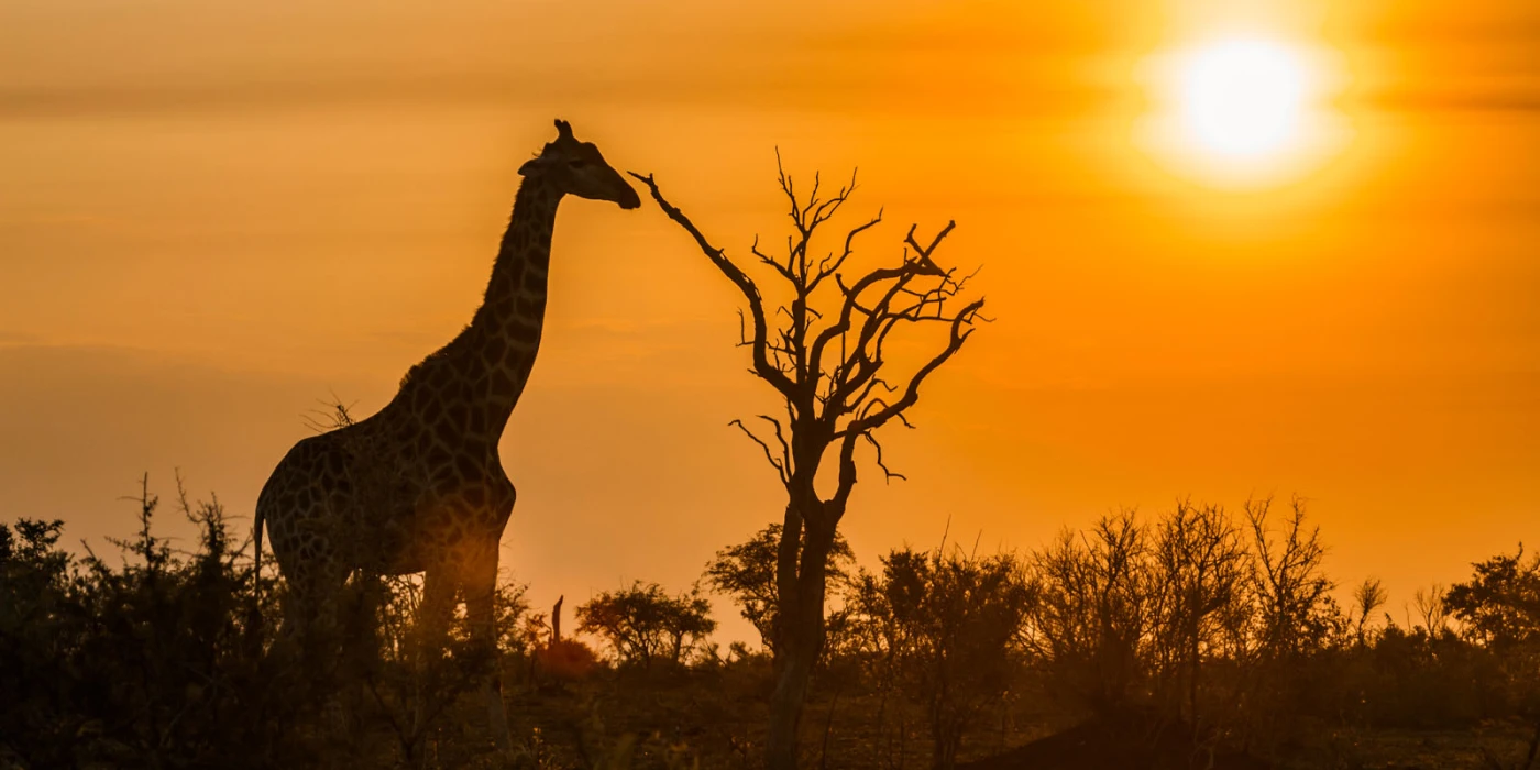 Matobo national park