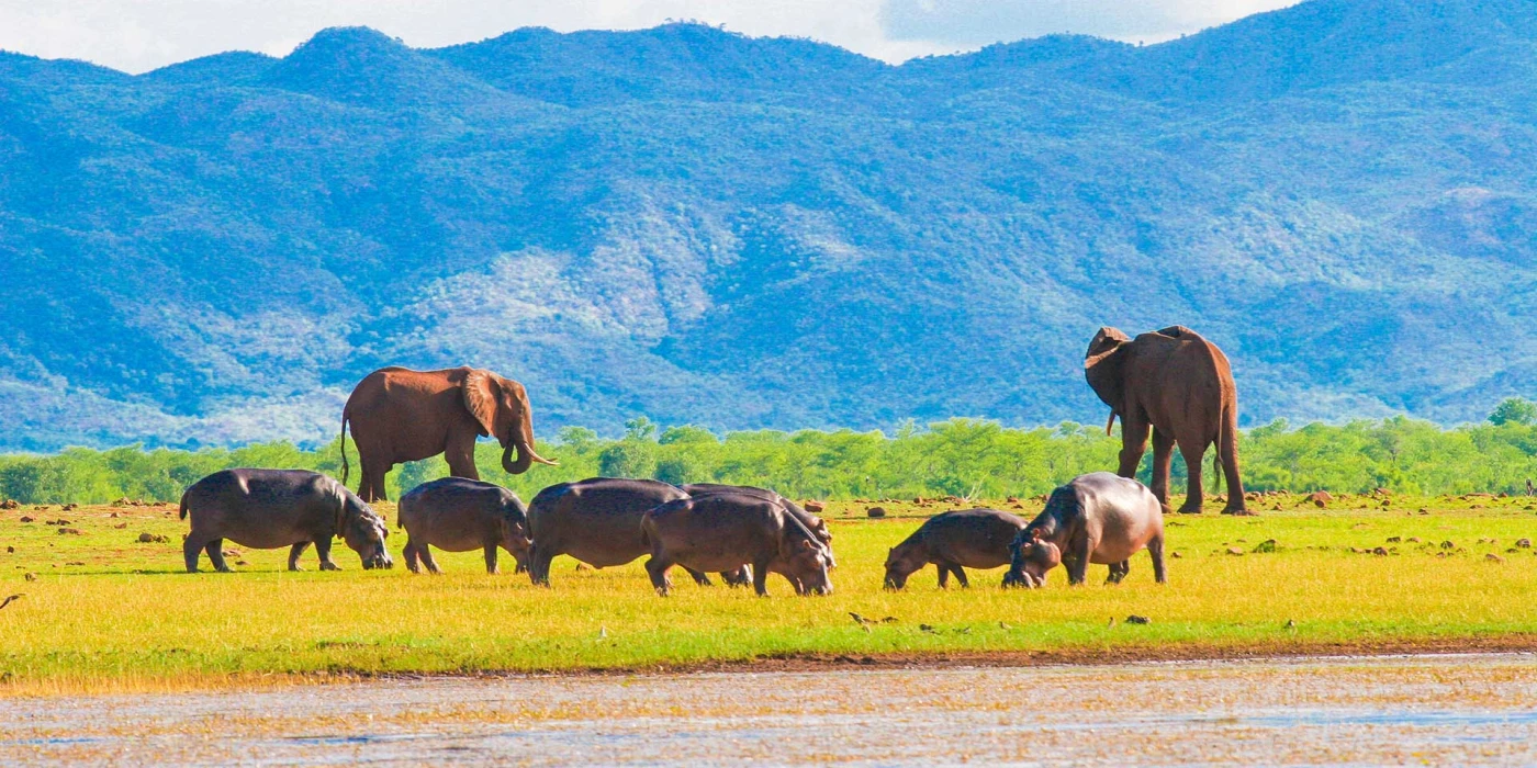 Matusadona national park