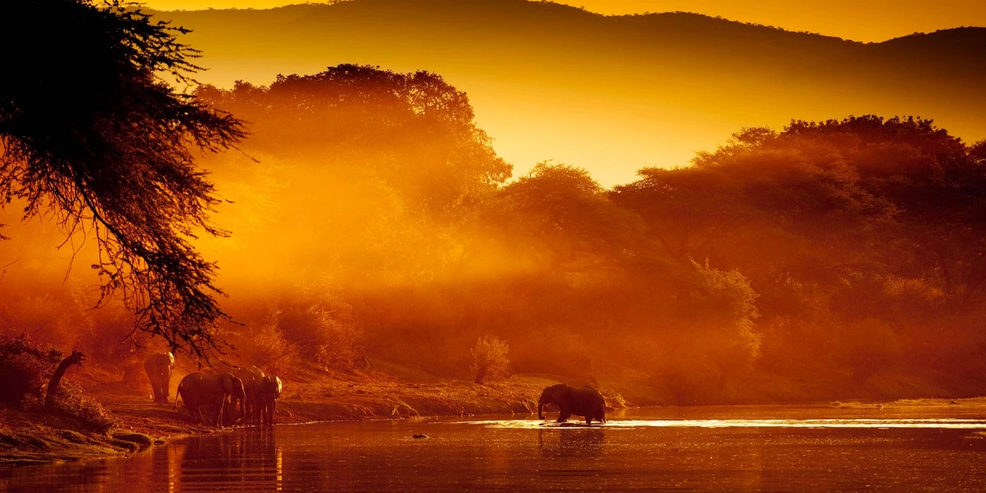 Zambezi national park