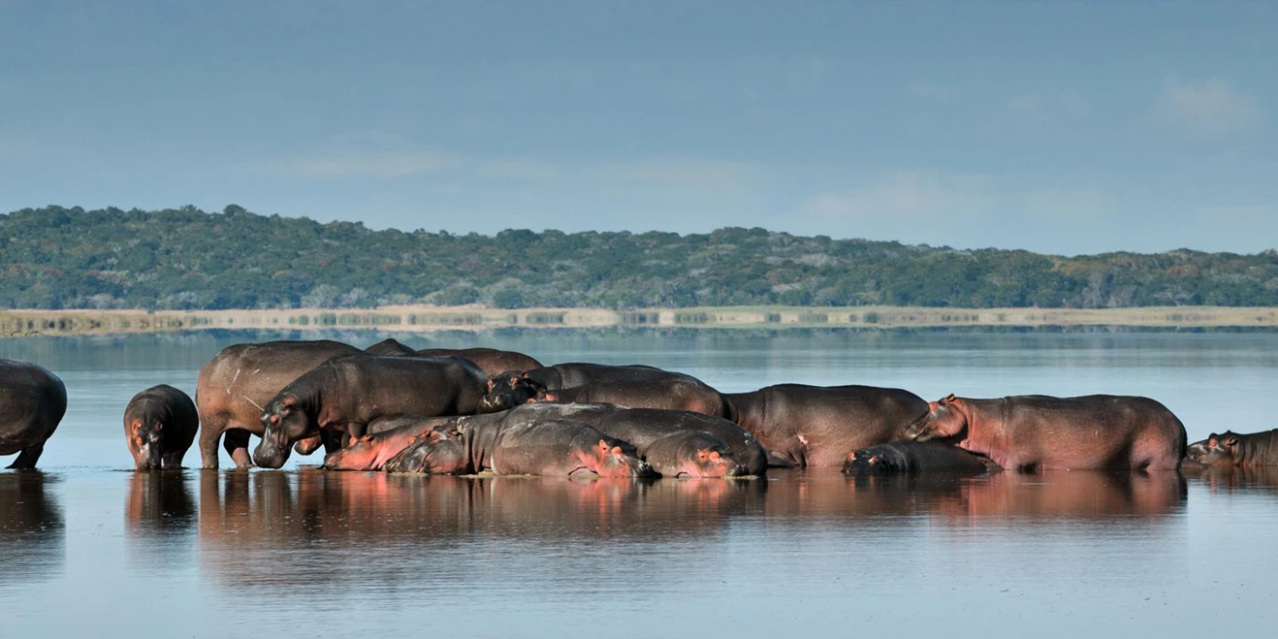 Maputo national park