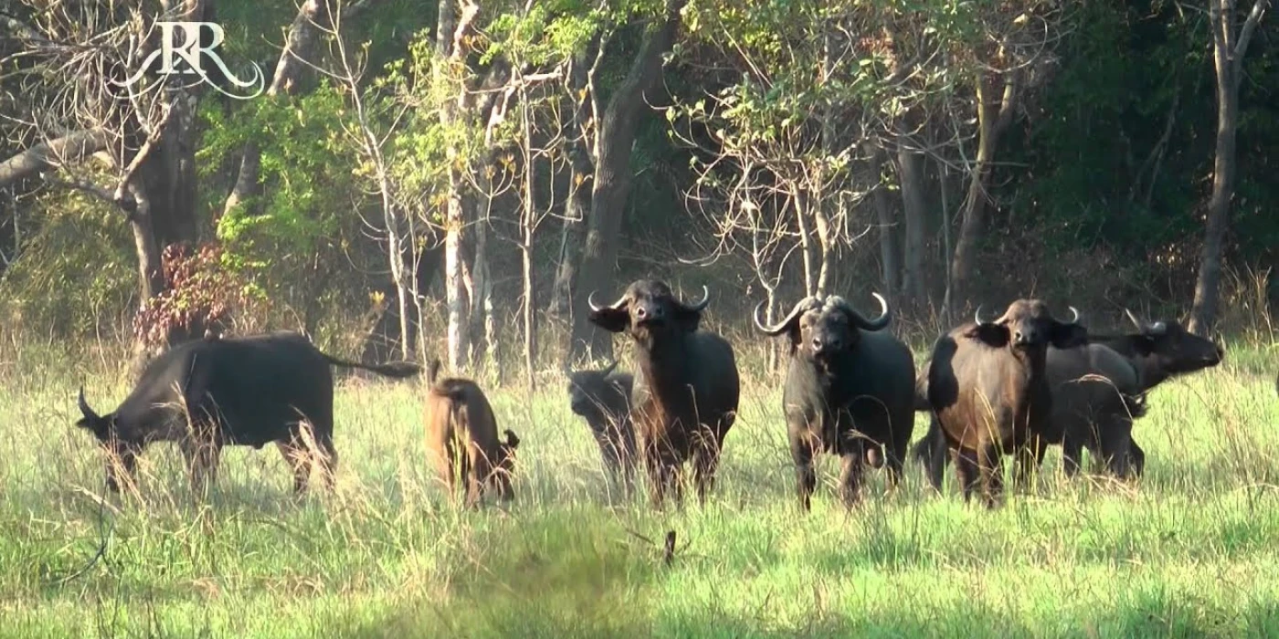 Marromeu national reserve