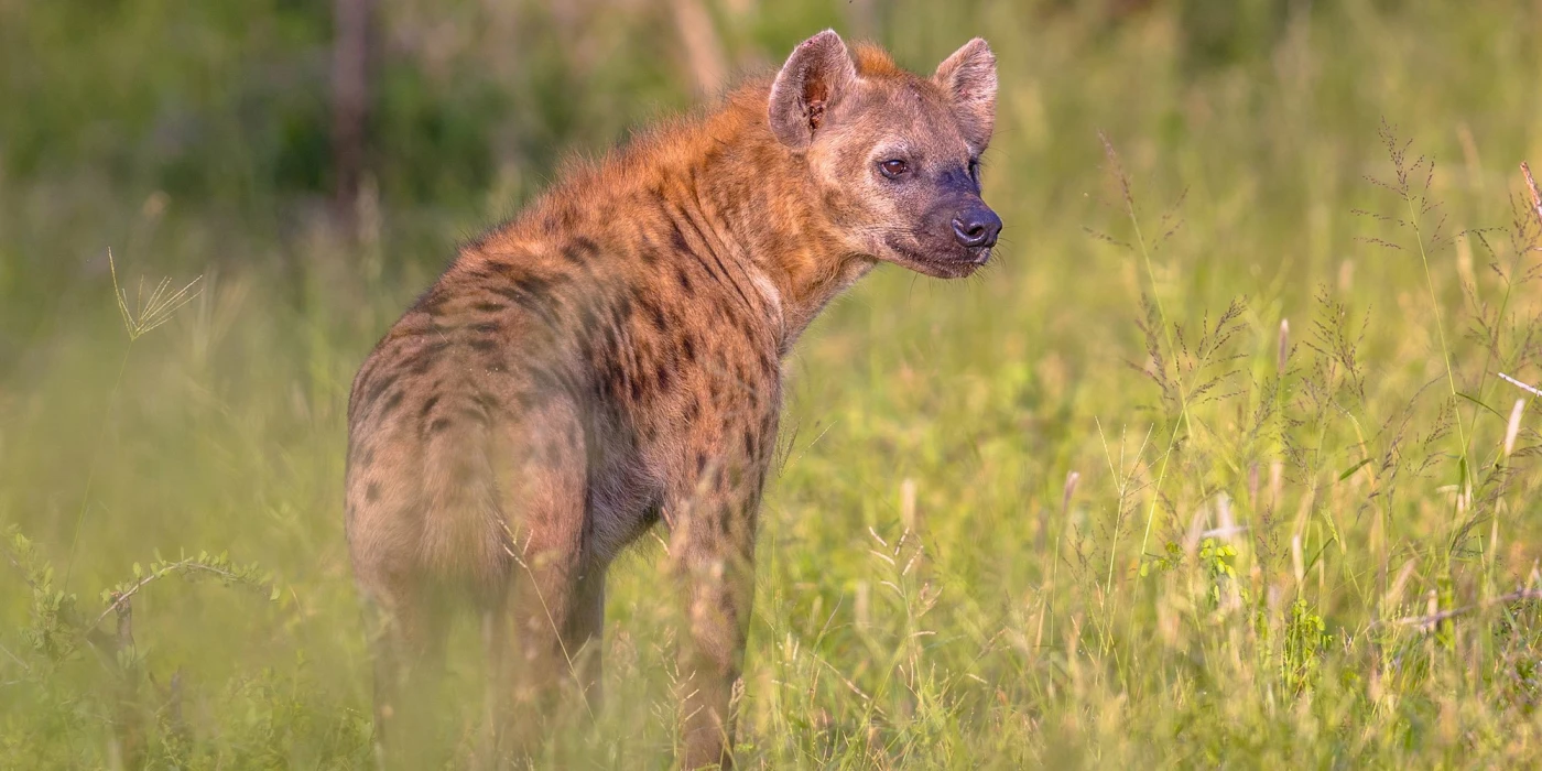 Zinave national park