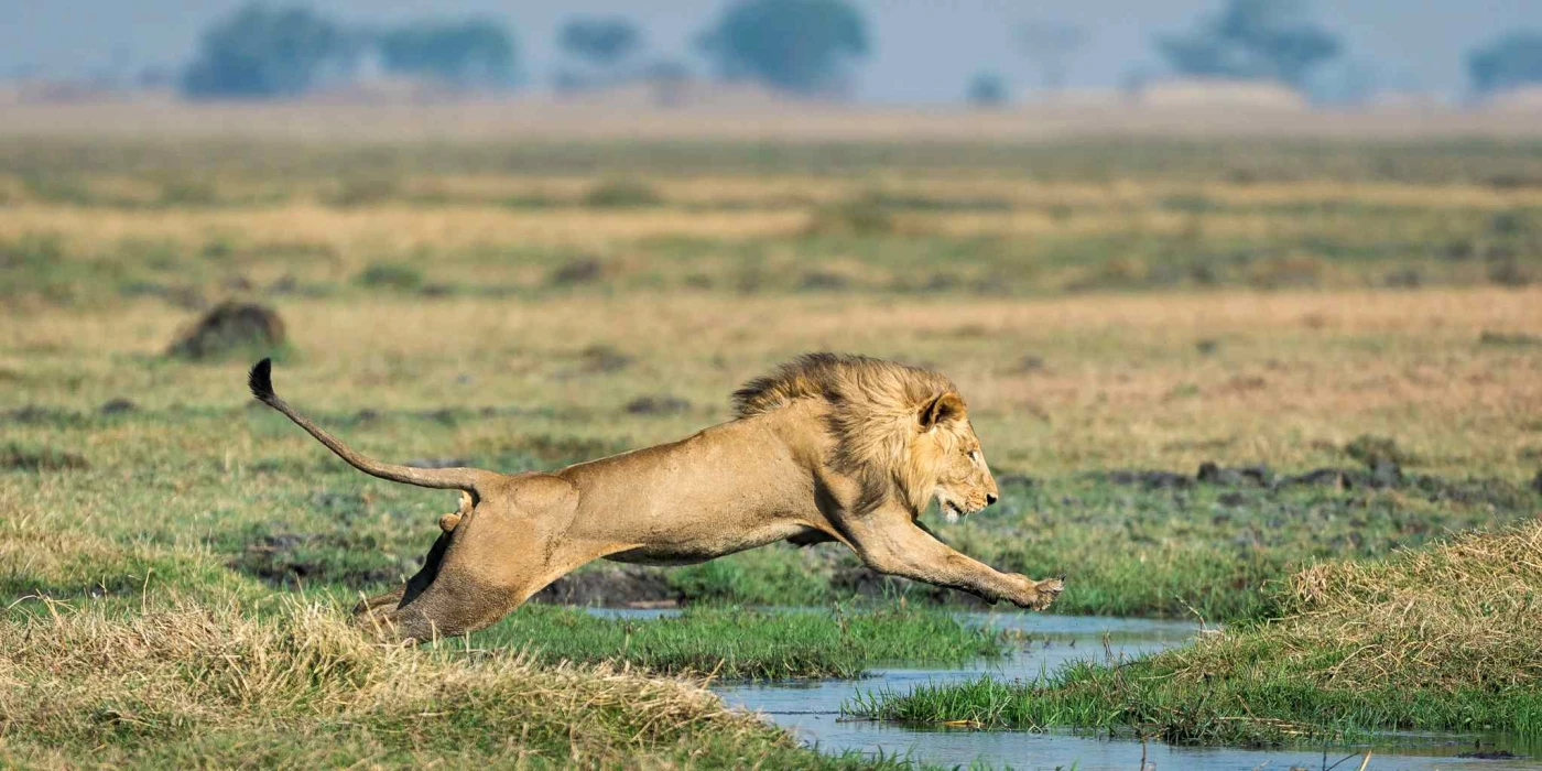 Kafue national park