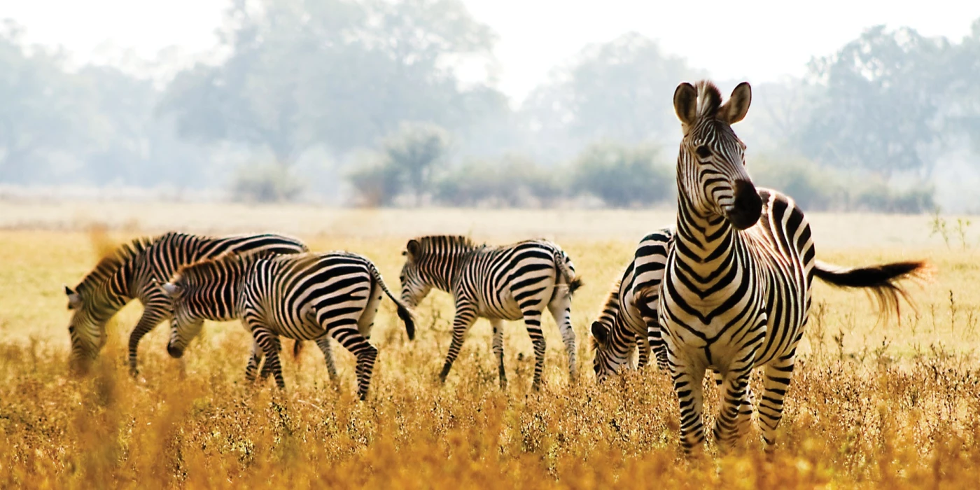 Liuwa plain national park