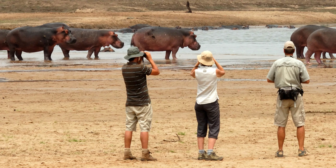 North luangwa national park