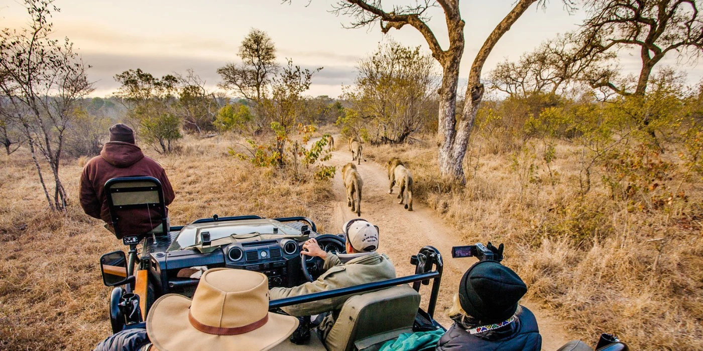 Kruger national park