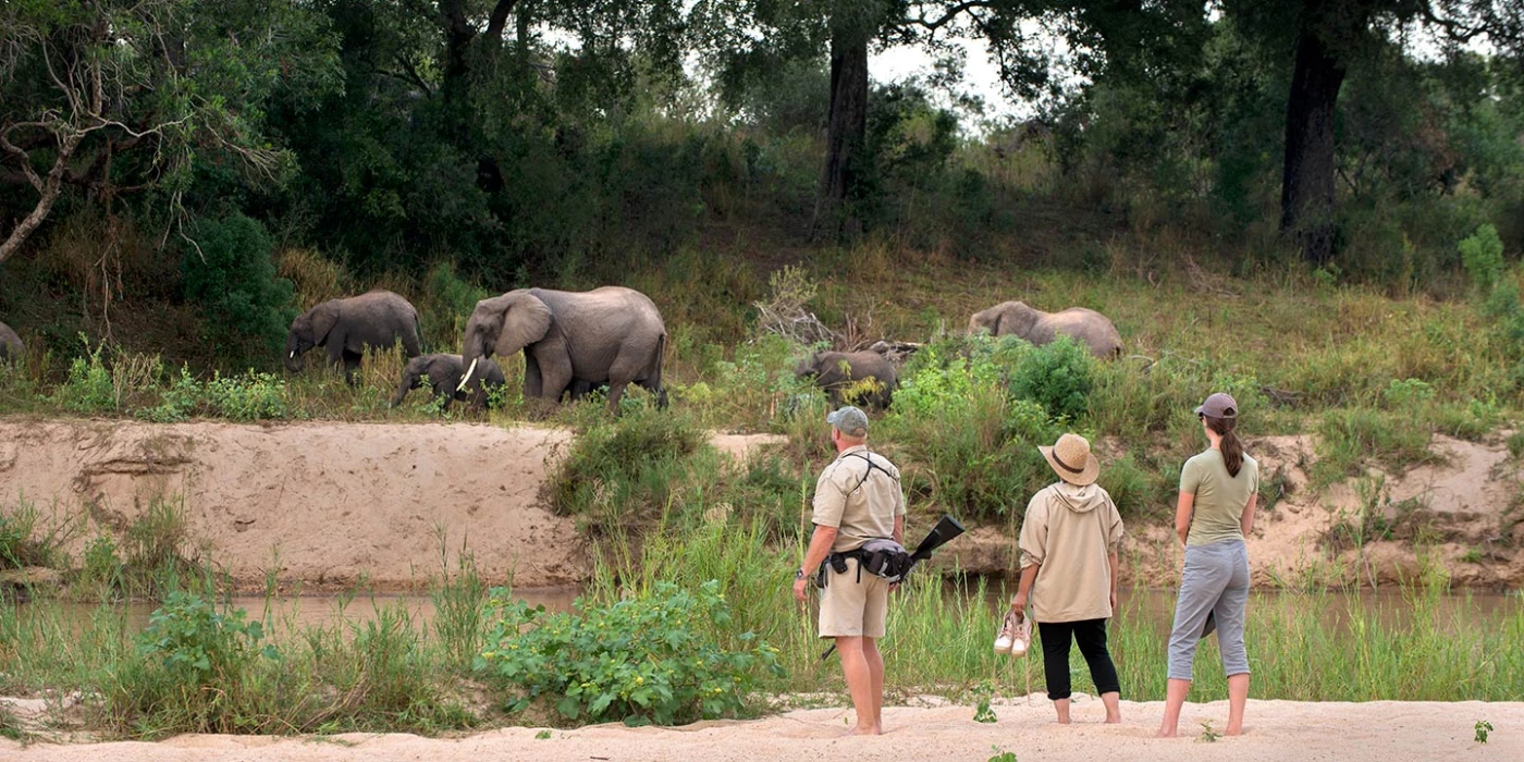 Dulini private game reserve   sabi sands