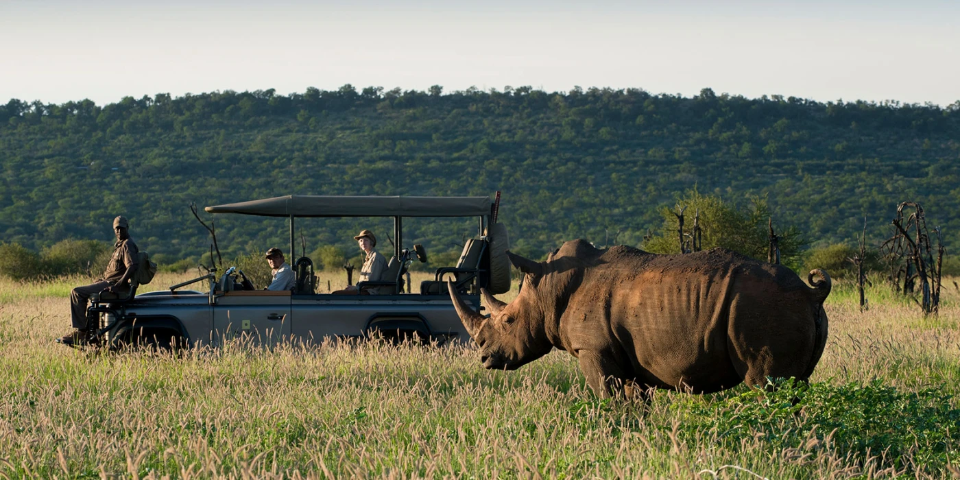 Madikwe game reserve