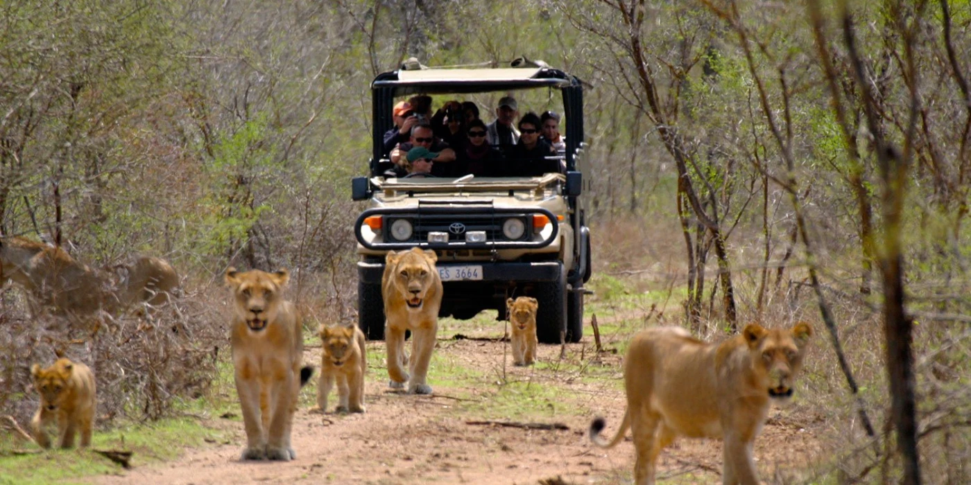 Mapungubwe national park 