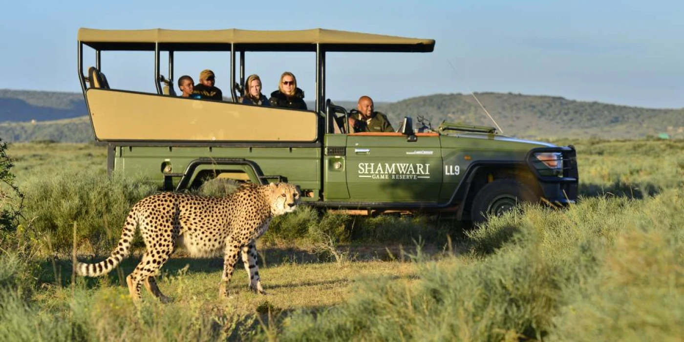 Shamwari private game reserve