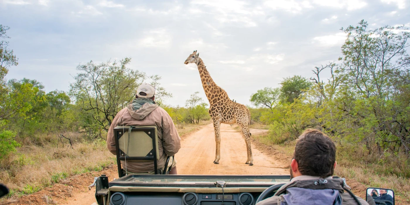 Thornybush game reserve   greater kruger