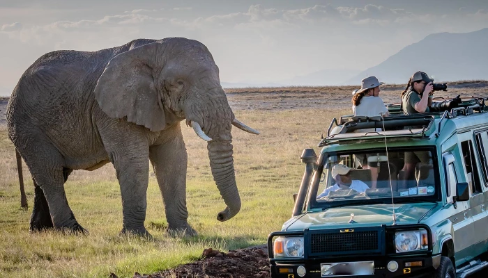 Uganda Tour & Safaris