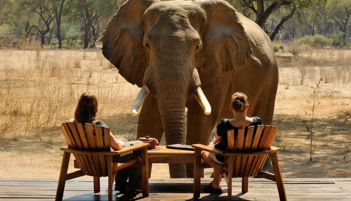 Zambia Tour & Safaris 