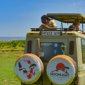Unique things about awesome safari guide
