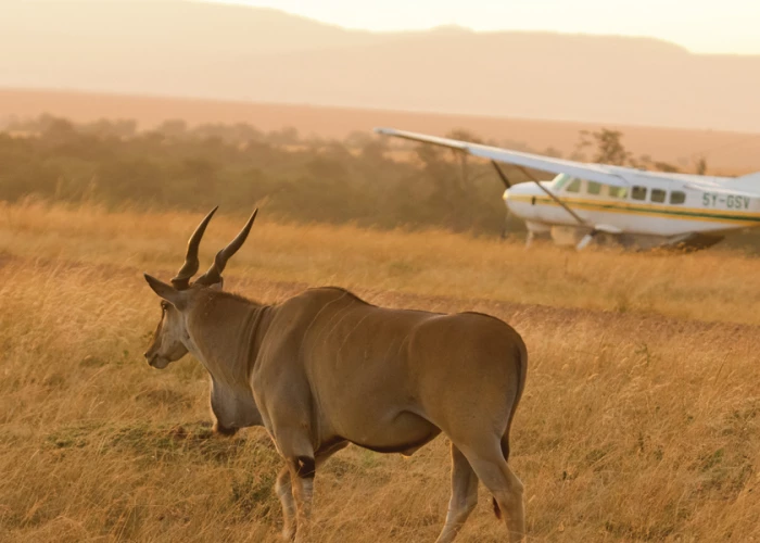15 Days Tanzania Photographic & Sky view Luxury Safari