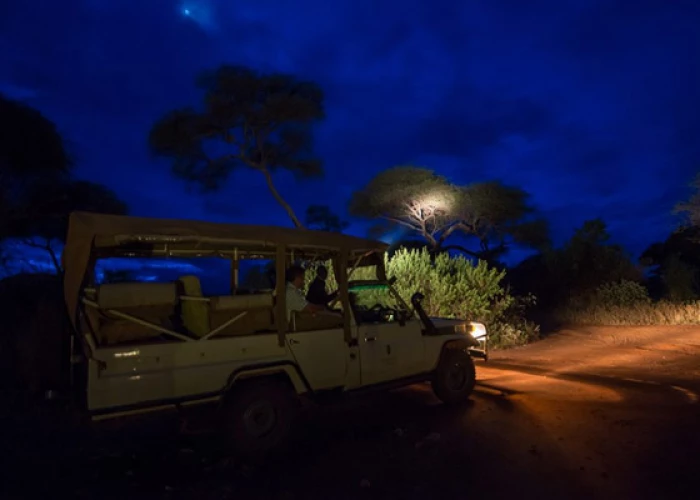 4-Day Sundown & Night Safari Serengeti Fly-in from Zanzibar