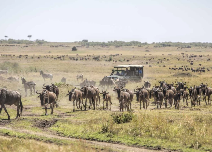 12 Days Best of Masai Mara – Kenya Safari & Zanzibar Holiday