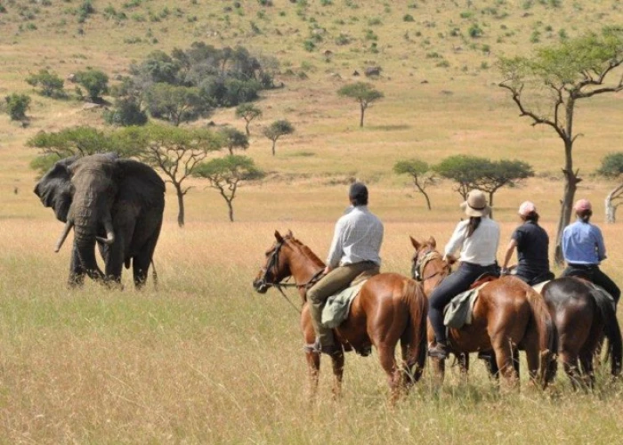 Kenya's Masai Mara Safari & Horse Riding 8 Days Tour