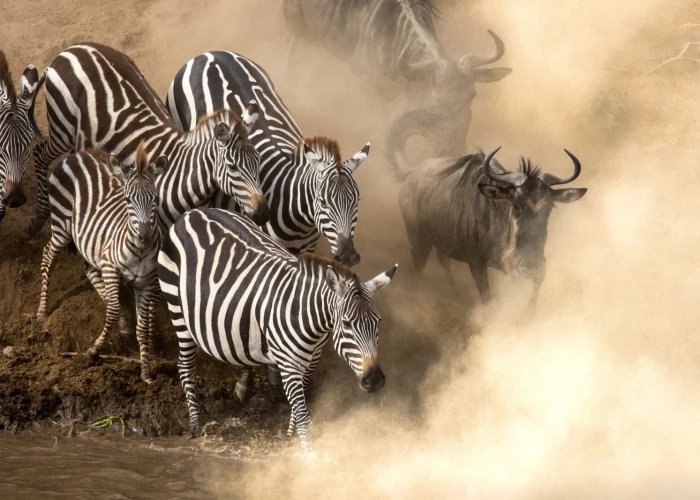 14 Days Tanzania & Kenya Romantic & Ultra-luxury Safari