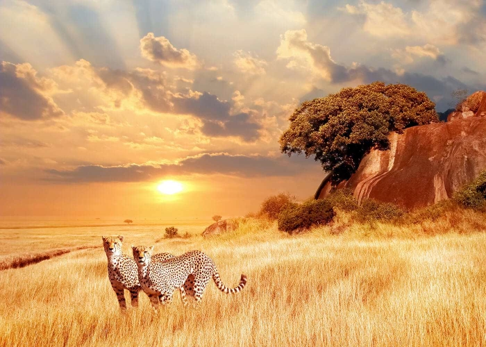 13 Days Romantic Kenya & Tanzania & Ultra-luxury Safari
