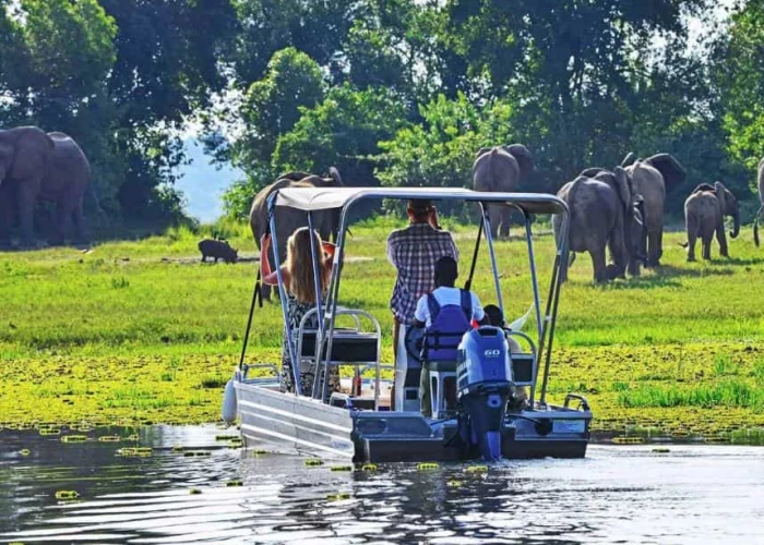 10 Days Luxury Magical Uganda Safari Enchantment