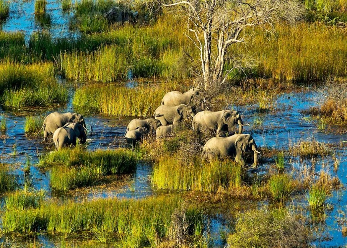 7 Days Central Kalahari & Okavango Delta Fly-in Safari 