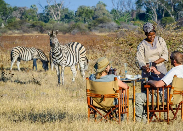 9 Days Botswana’s Moremi & Okavango Delta Luxury Fly-in & Out Safari