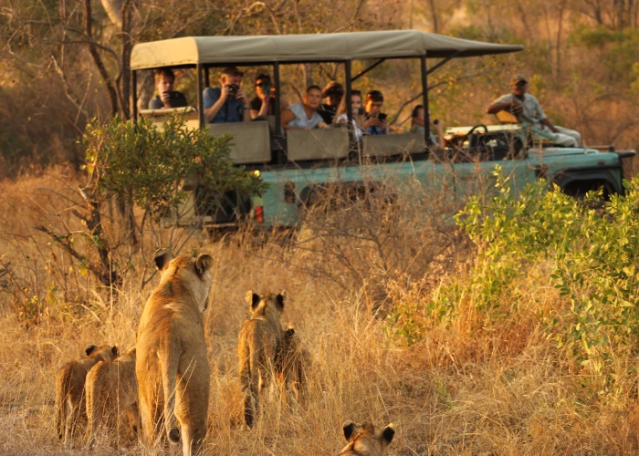 12 Days Unforgettable South Africa’s Kruger & Mozambique Holiday 