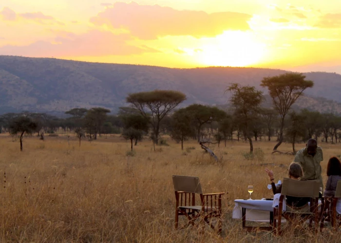 3 Day Serengeti Luxury Fly-in Safari Start from Arusha