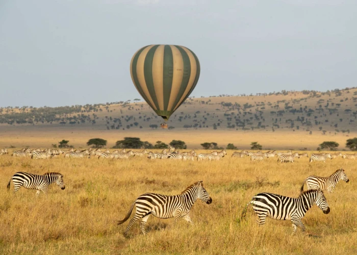 ½-Day Hot Air Balloon Safari and Breakfast in Serengeti