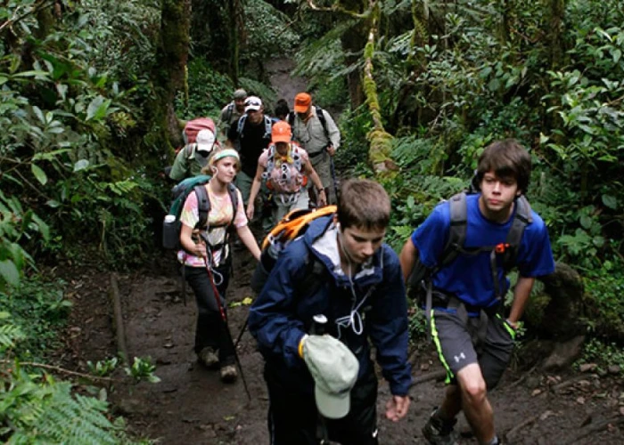 Mount Kilimanjaro Day Hike