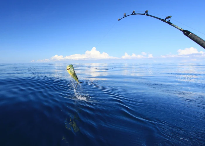 Pemba Local Fishing 