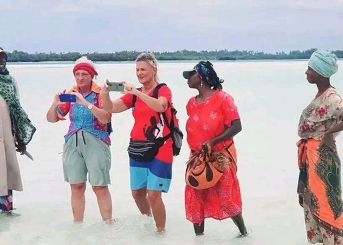 Sandbank Island Tour - Vumawimbi Pemba