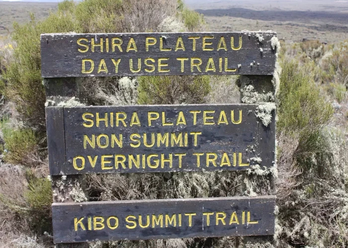 Shira Plateau-Kilimanjaro a Day Hike