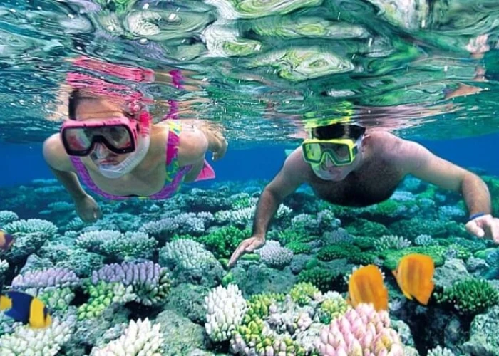 Snorkelling at Mnember Atoll