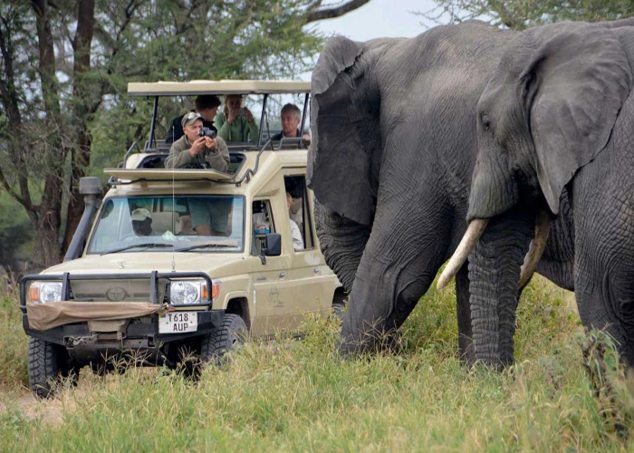 Tarangire National Park Day Trip