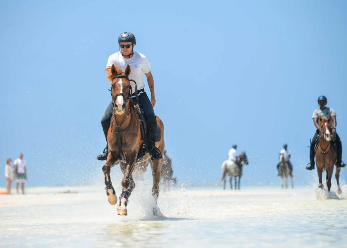 Zanzibar Horseback Riding