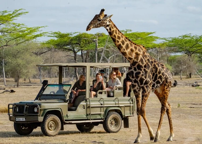 4 Days Nyerere and Mikumi National Parks Safari
