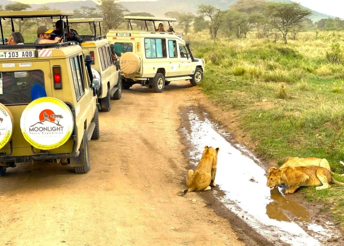 10 Days Tanzania’s Crater, Serengeti & Kenya’s Masai Mara Safari